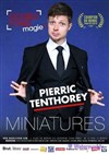 Pierric Tenthorey dans Miniatures - 