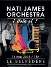 Flamenco Show, Nati James Orchestra - 