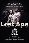 Lost Ape - 