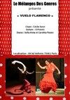 Flamenco au mélange des genres - 