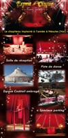 Stage de cirque et équitation - 