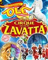 Cirque Nicolas Zavatta Douchet | Ancenis - 