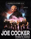 Joe Cocker tribute band - 