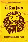 Le Roi Lion - 