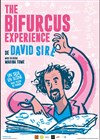 Bifurcus Experience - 
