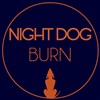 Night dog - 