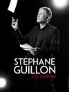 Stéphane Guillon sur scène - 