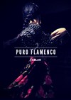 Puro Flamenco Tablao - 