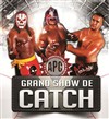 Grand show de Catch International - 