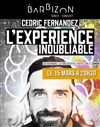 Cédric Fernandez dans L'expérience inoubliable - 