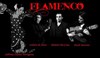 Flamenco à la péniche Anako - 