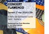 Concert flamenco : El Niño de Gambetta - 