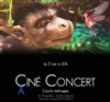 Ciné-Concert : par l'Orchestre de Fourvière - 