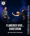 Flamenco vivo... Baró Drom - 
