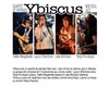 Ybiscus Quartet New Soul Jazz - 