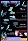 Grand Concert Mozart & Bach pour Orchestre et Solistes - 