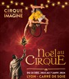 Noël au Cirque Imagine - 
