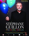 Stephane Guillon dans Premiers adieux - 