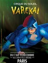 Le Cirque du Soleil dans Varekai - 