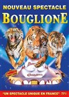 Cirque Bouglione dans Surprise | - Le Mans - 
