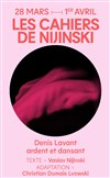 Les cahiers de Nijinski - 