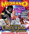 Medrano, le Grand Cirque de Noël | à Bordeaux - 
