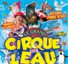 Le Cirque sur l'Eau | - Rennes - 