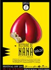 Histoire de Nana - 