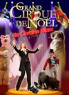 Le grand cirque de Noël de Caroline Marx - 