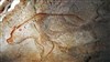 La grotte Chauvet et le culte de l'ours dans la préhistoire et l'histoire - 