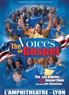 The Voices of Gospel - 