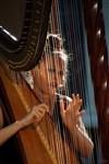 Ensemble Octoplus : Envoûtante Harpe - 