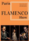 Flamenco Show - 