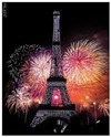 14 Juillet 2017 : Feu d'Artifice au pied de la Tour Eiffel à Paris sur un bateau navigant - 