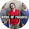 Birds of Paradise - Olivier Py trio - 