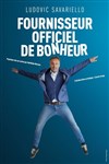 Ludovic Savariello dans Fournisseur officiel de Bonheur - 