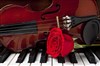 Récital Violon Piano - 