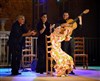 Stage d'initiation au Flamenco - 