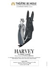 Harvey - 
