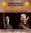 Sunday Flamenco - 