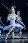 La Belle au Bois Dormant | par le Grand Ballet de Kiev - 
