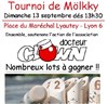 Tournoi de Mölkky - docteur CLOWN - Lyon 2015 - 