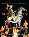 Don Quichotte Flamenco - 
