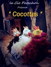 Cocottes - 