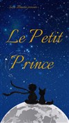 Les voyages du petit prince - 