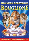 Cirque Bouglione dans Surprise | - Dijon - 
