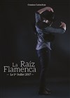Raíz Flamenca Carlos Ruiz - 