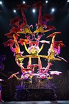 Cirque national de Hong- Kong - 