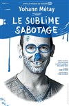 Yohann Metay dans Le sublime sabotage - 