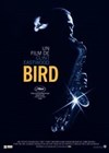 Bird - 